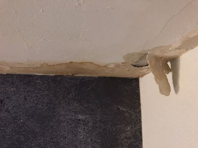 Professional mold removal services in Greenacres